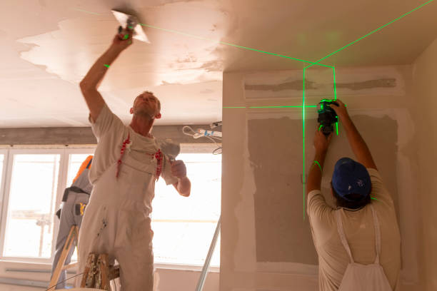 Trusted Henagar, AL Mold Removal Experts